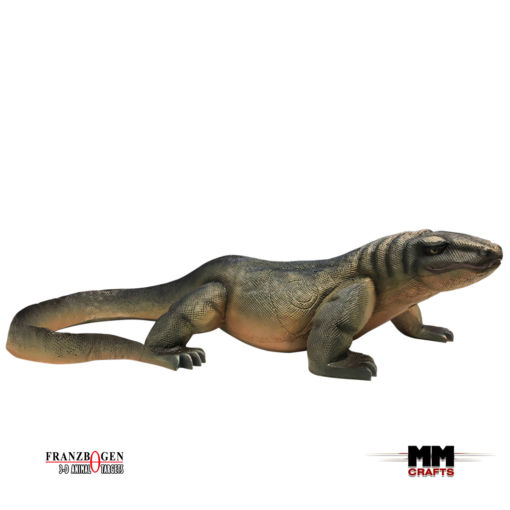Franzbogen 3D Target Waran