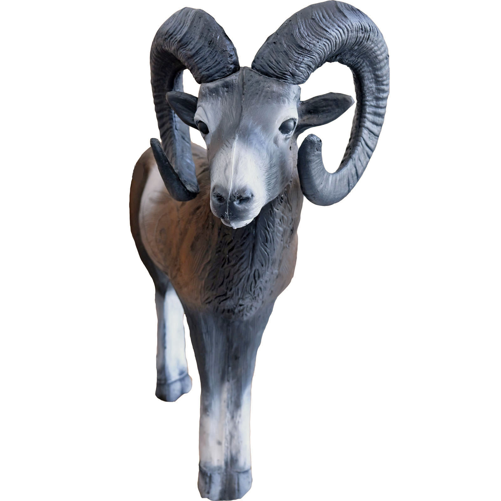 Leitold 3D Target Mufflon stehend – Bild 4